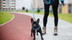 Za co může, když majitel může finf